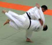 judo.jpg (4932 Byte)